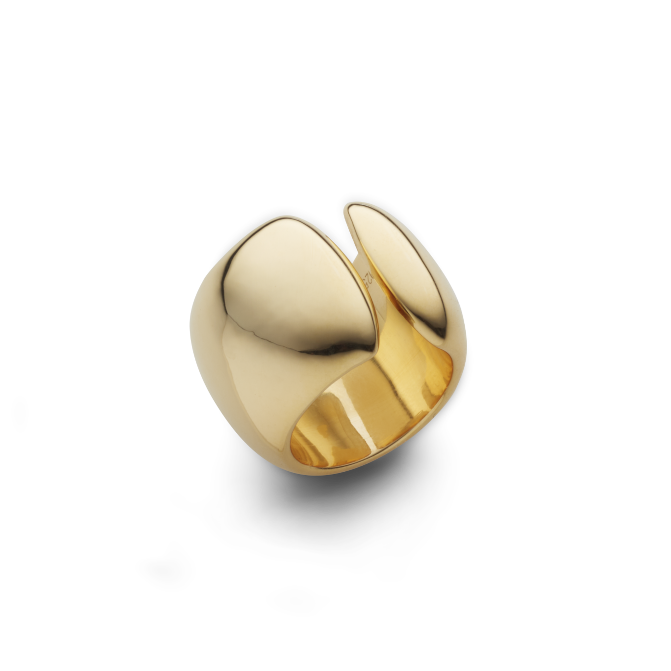 Demi Ring_ CCRI06_ Gold